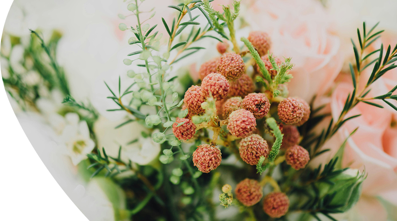 Zoom sur un bouquet de fleurs aux tons doux, verts et roses