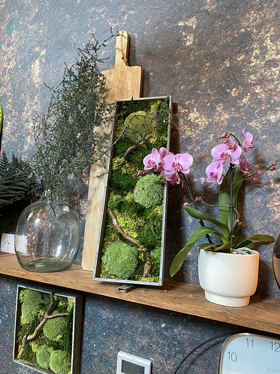 Un vase, deux cadres végétaux et une orchidée rose en pot sont placés sur une étagère en bois dans la boutique Un Brin d'Folie