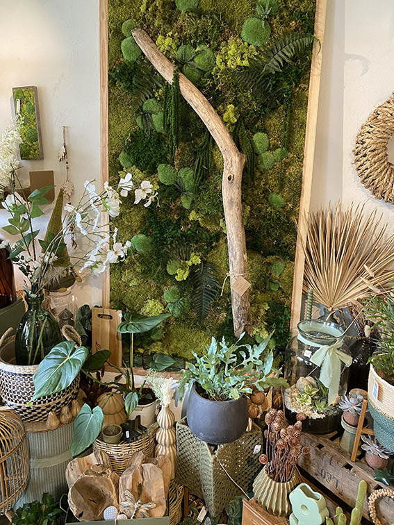 Vue sur un coin décoration de la boutique avec un grand cadre végétal et plusieurs plantes placées tout autours