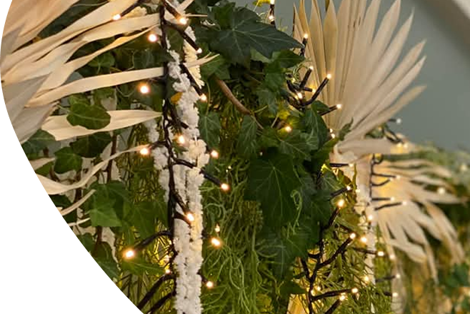 Décoration végétale dans une salle de réception, composée de plantes et de guirlandes lumineuses