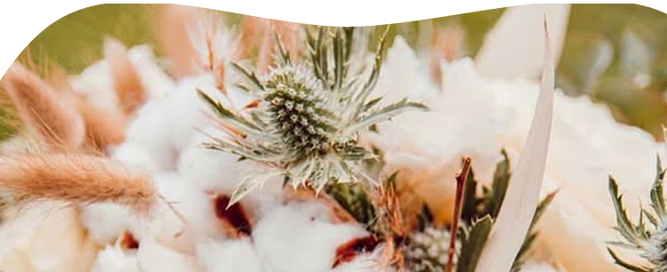 Zoom sur un bouquet de fleurs composé de chardon et fleurs de coton