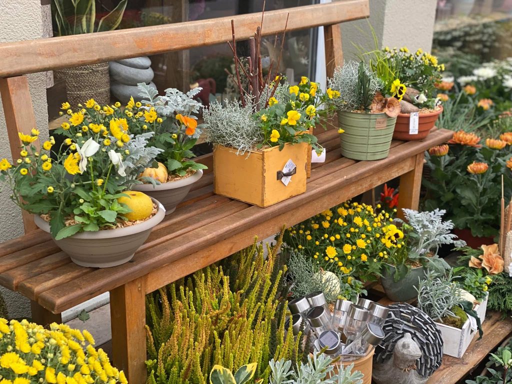 Etalage extérieur de fleurs et plantes dans les tons jaunes et oranges