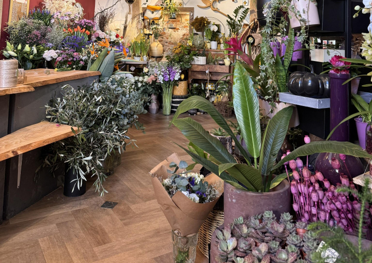 Plantes d'intérieurs et fleurs dans un coin de la boutique