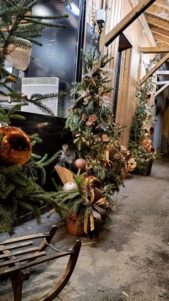 Vitrine d'un commerçant décoré pour Nöel avec des sapins décorés de rubans, guirlandes, boules et fruits secs.