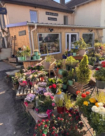 Vue extérieure de la boutique de Fleuriste Un Brin d'Folie à Arches où l'on voit l'enseigne, les vitrines et les plantes exposées dehors