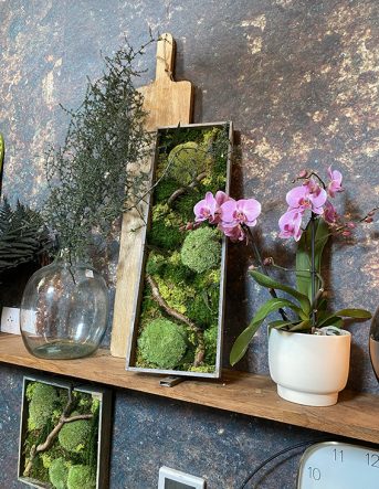 Un vase, deux cadres végétaux et une orchidée rose en pot sont placés sur une étagère en bois dans la boutique Un Brin d'Folie