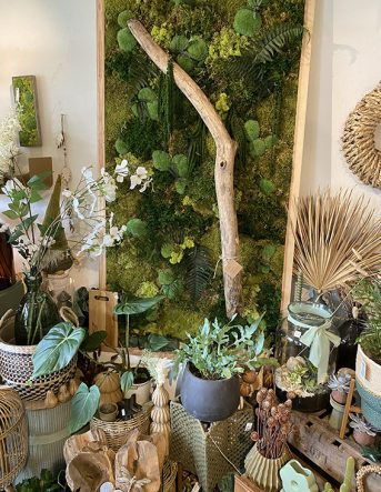 Vue sur un coin décoration de la boutique avec un grand cadre végétal et plusieurs plantes placées tout autours
