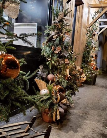 Vitrine d'un commerçant décoré pour Nöel avec des sapins décorés de rubans, guirlandes, boules et fruits secs.